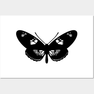 Butterfly Posters and Art